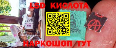прущие грибы Гатчина