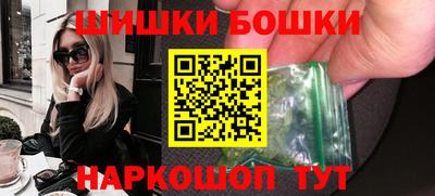 прущие грибы Гатчина