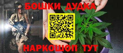 прущие грибы Гатчина