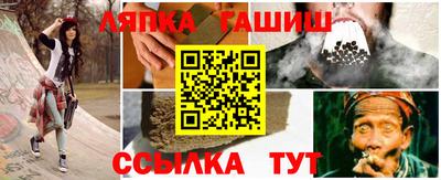 прущие грибы Гатчина