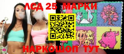 прущие грибы Гатчина
