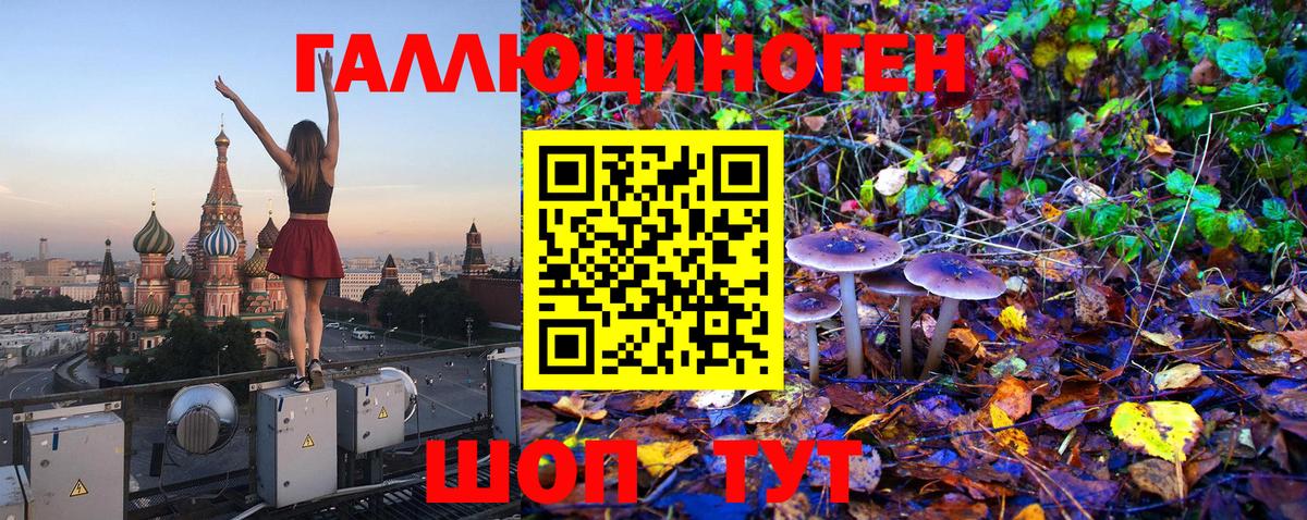 Кизилюрт  Псилоцибиновые грибы Magic Shrooms  Вход с VPN 